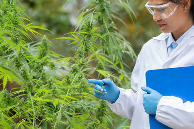 Woman working on plants