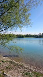 Scenic view of calm lake against sky