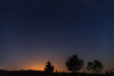 Low angle view of silhouette trees against star field