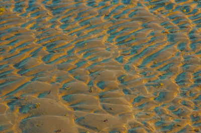 Full frame shot of wet sand