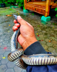 Close-up of person holding stick