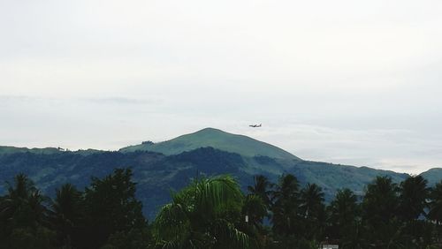 Low angle view of bird flying over mountain against sky