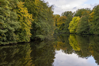 Scenic view of lake by trees against sky