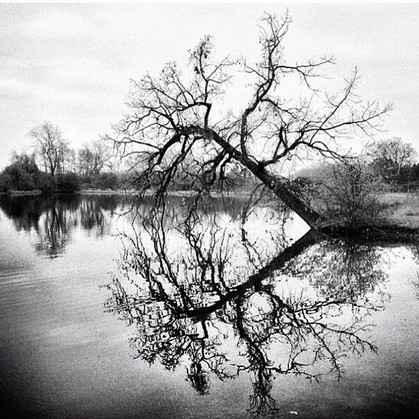 water, bare tree, tree, lake, tranquility, reflection, tranquil scene, branch, scenics, beauty in nature, sky, nature, waterfront, silhouette, river, calm, lakeshore, standing water, idyllic, outdoors