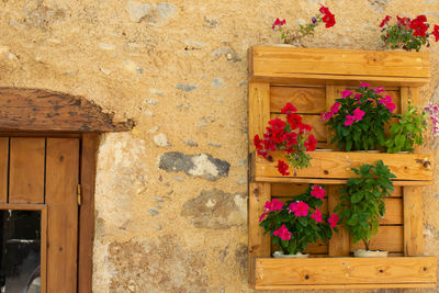 Flower pots on wall of house