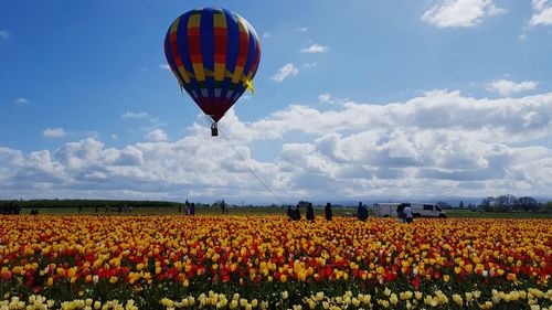 Scenic view of flowering plants on field against sky