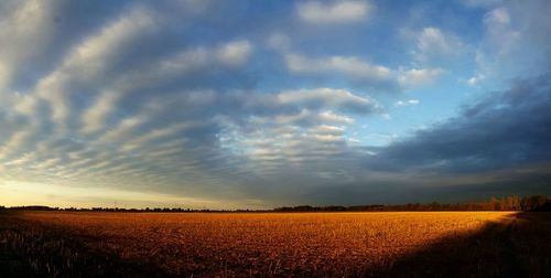 Scenic view of field against cloudy sky