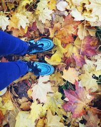 Low section of woman standing on multi colored leaves