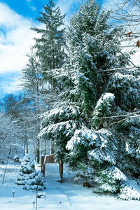 Trees on snow covered field against sky