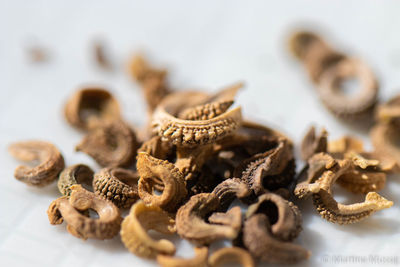 Close-up of cookies on table