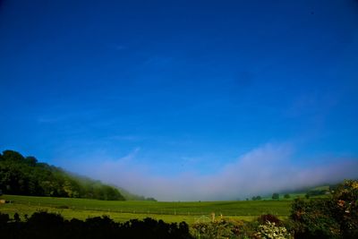 Scenic view of field against blue sky