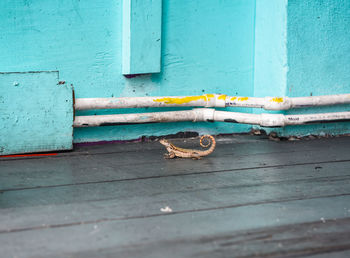 Close-up of rusty metal on wall