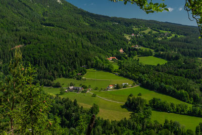 High angle view of trees on field