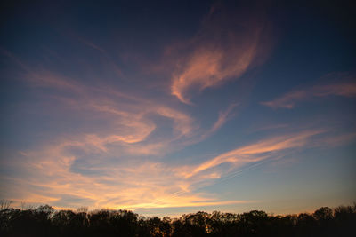 Low angle view of silhouette trees against sky during sunset