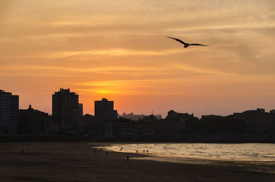 Silhouette birds flying over lake against sky during sunset