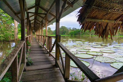 Scenic view of river amidst trees