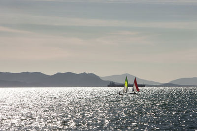 Sailboats in sea against sky