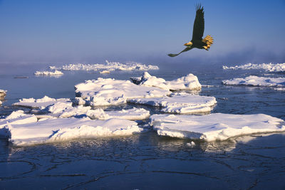 Drift ice in the sea of okhotsk , winter tradition