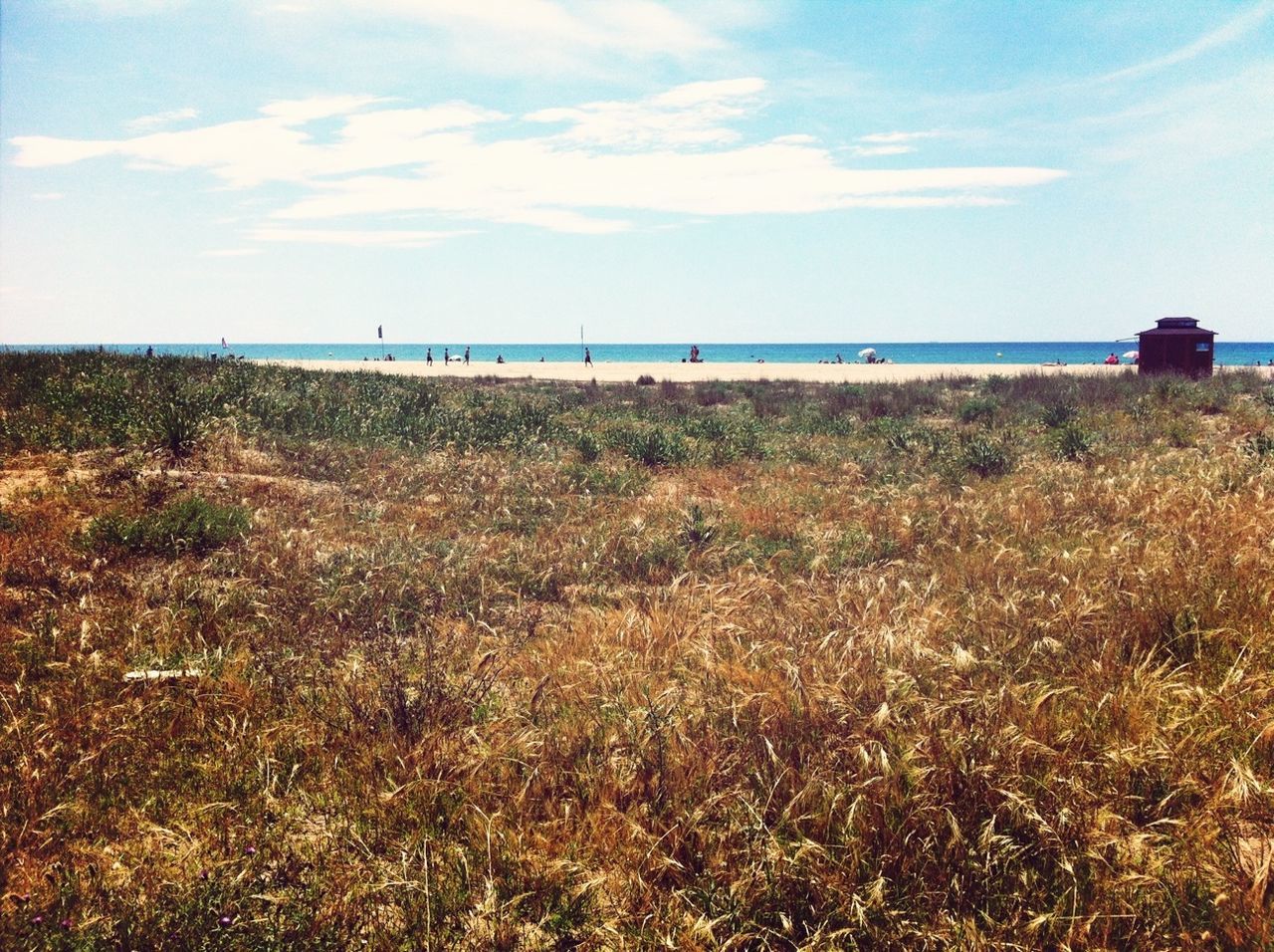 sea, horizon over water, sky, water, beach, tranquil scene, tranquility, scenics, beauty in nature, shore, nature, sand, grass, cloud - sky, idyllic, cloud, plant, blue, remote, day