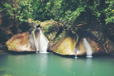 Scenic view of waterfall in forest