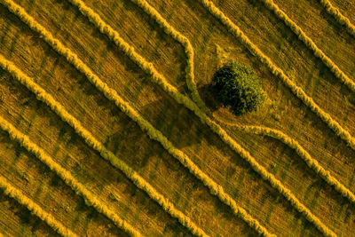 Aerial view of a field. beauty and patterns of a cultivated farmland in slovakia from above.