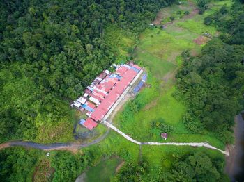 High angle view of agricultural landscape