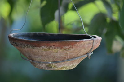 Close-up of earthenware hanging in garden