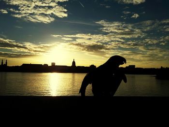 Silhouette of man against sky during sunset