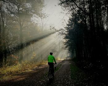 Rear view of man walking on road in forest