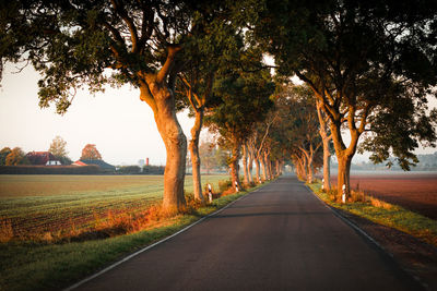 Road amidst trees on field against sky