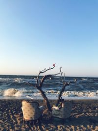 Driftwood on beach against clear sky