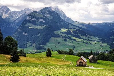 Mountainview and green field