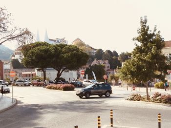 Vehicles on road along buildings