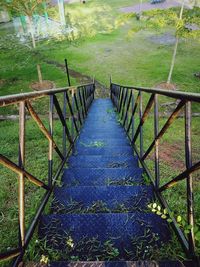 Empty footpath amidst field