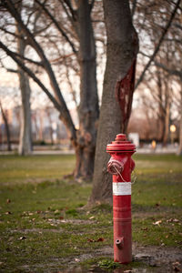 Red fire hydrant on tree trunk in park