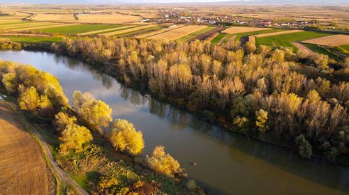 High angle view of river amidst trees