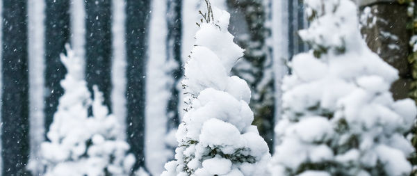 Close-up of snow