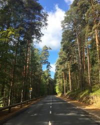 Empty road amidst trees in forest against sky