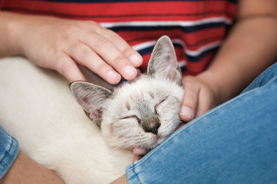 Midsection of woman with kitten