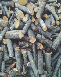 Full frame shot of logs