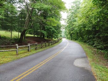 Empty road amidst trees