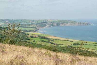 Scenic view of sea and cliff against sky