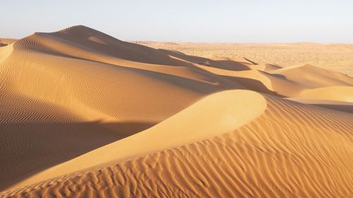 Scenic view of desert