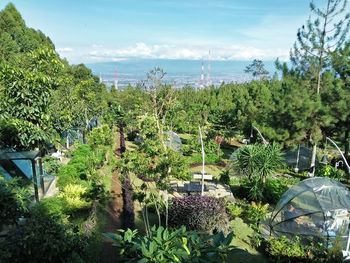 High angle view of plants and trees against sky