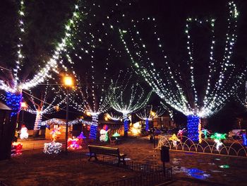 Illuminated firework display at night