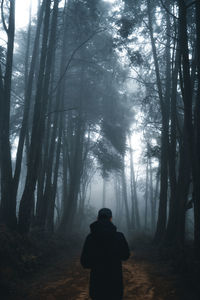 Rear view of man standing in forest against trees