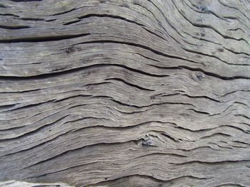 Full frame shot of wood