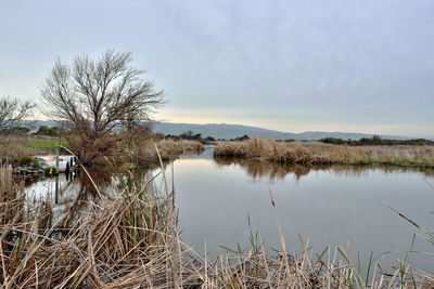 Scenic view of lake against sky