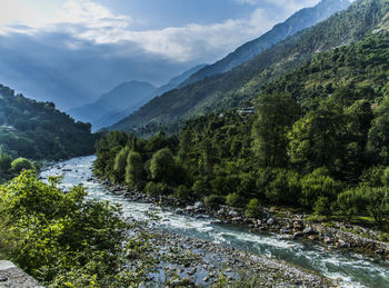 Scenic view of river amidst trees against sky
