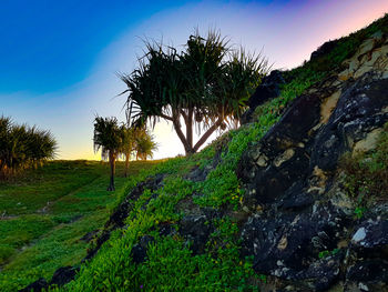 Scenic view of land against sky